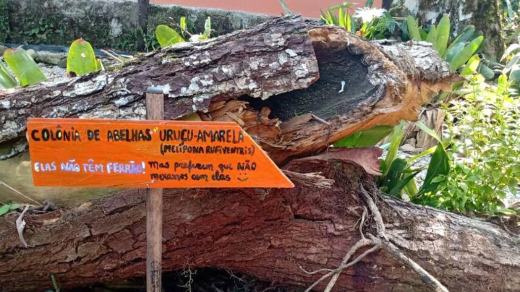 Chale Vagalume - Mata Atlantica, Sitio E Praias Casa de férias Ubatuba