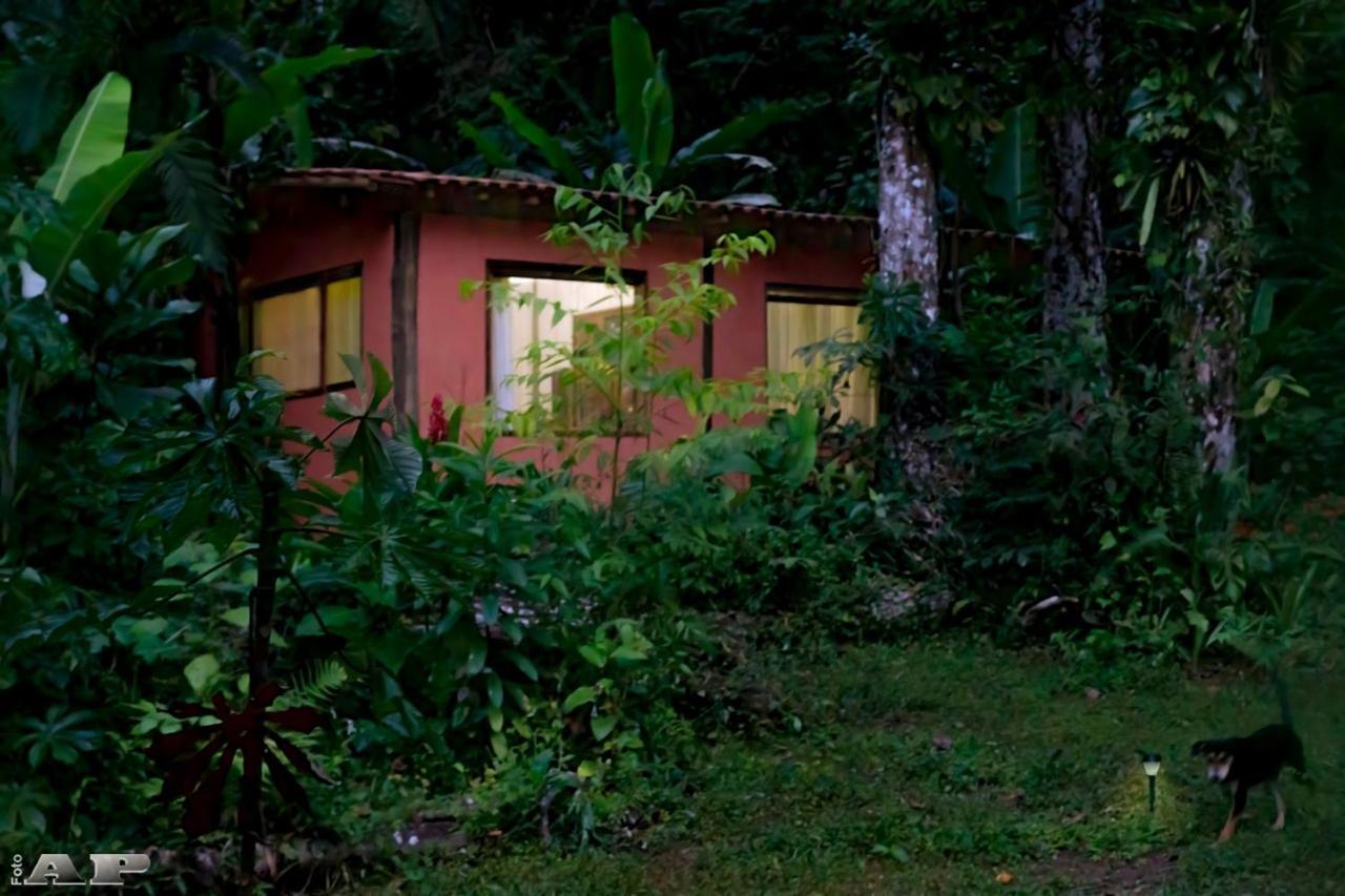 Chale Vagalume - Mata Atlantica, Sitio E Praias Casa de férias Ubatuba